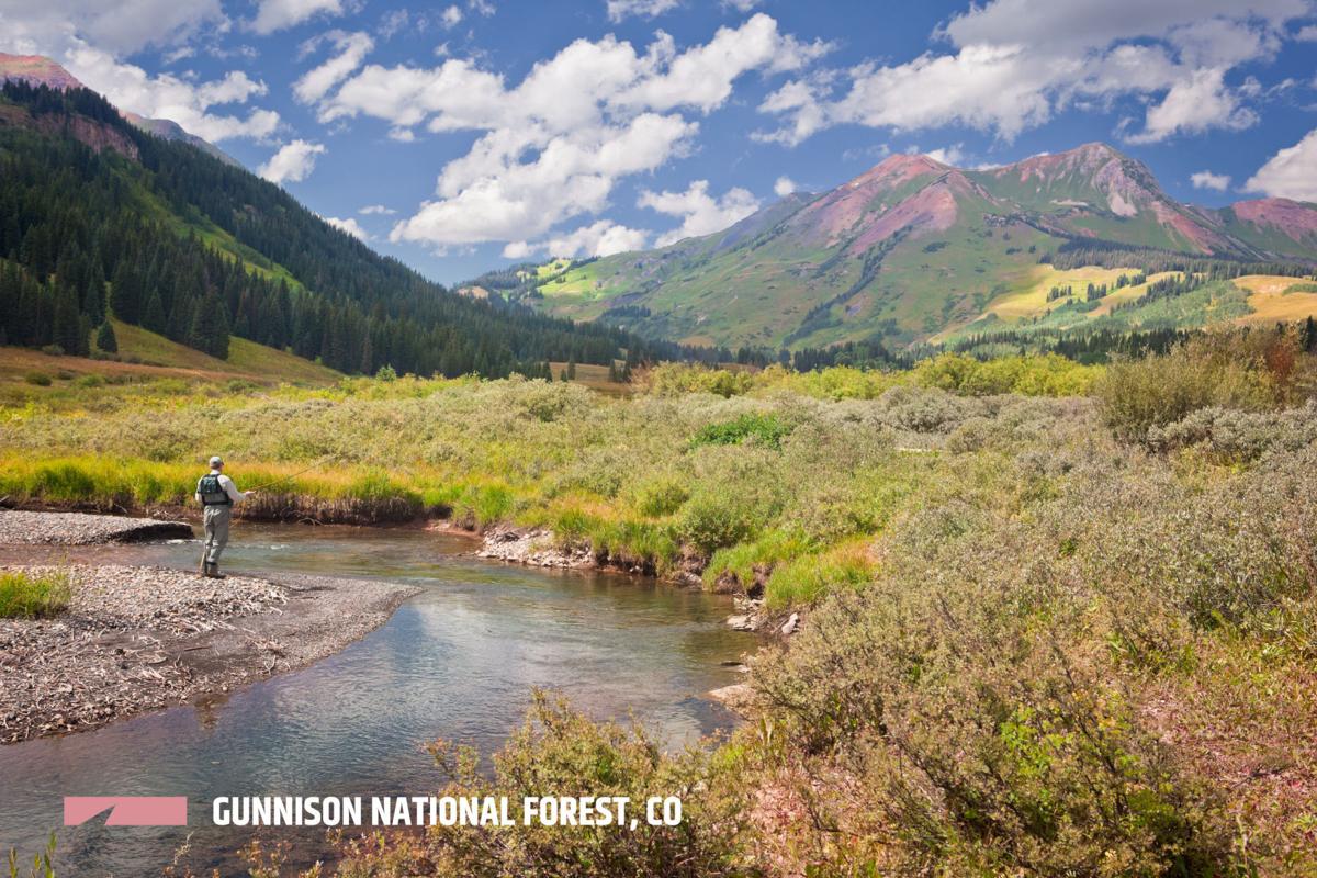 The Quick Guide to Exploring the Gunnison National Forest
