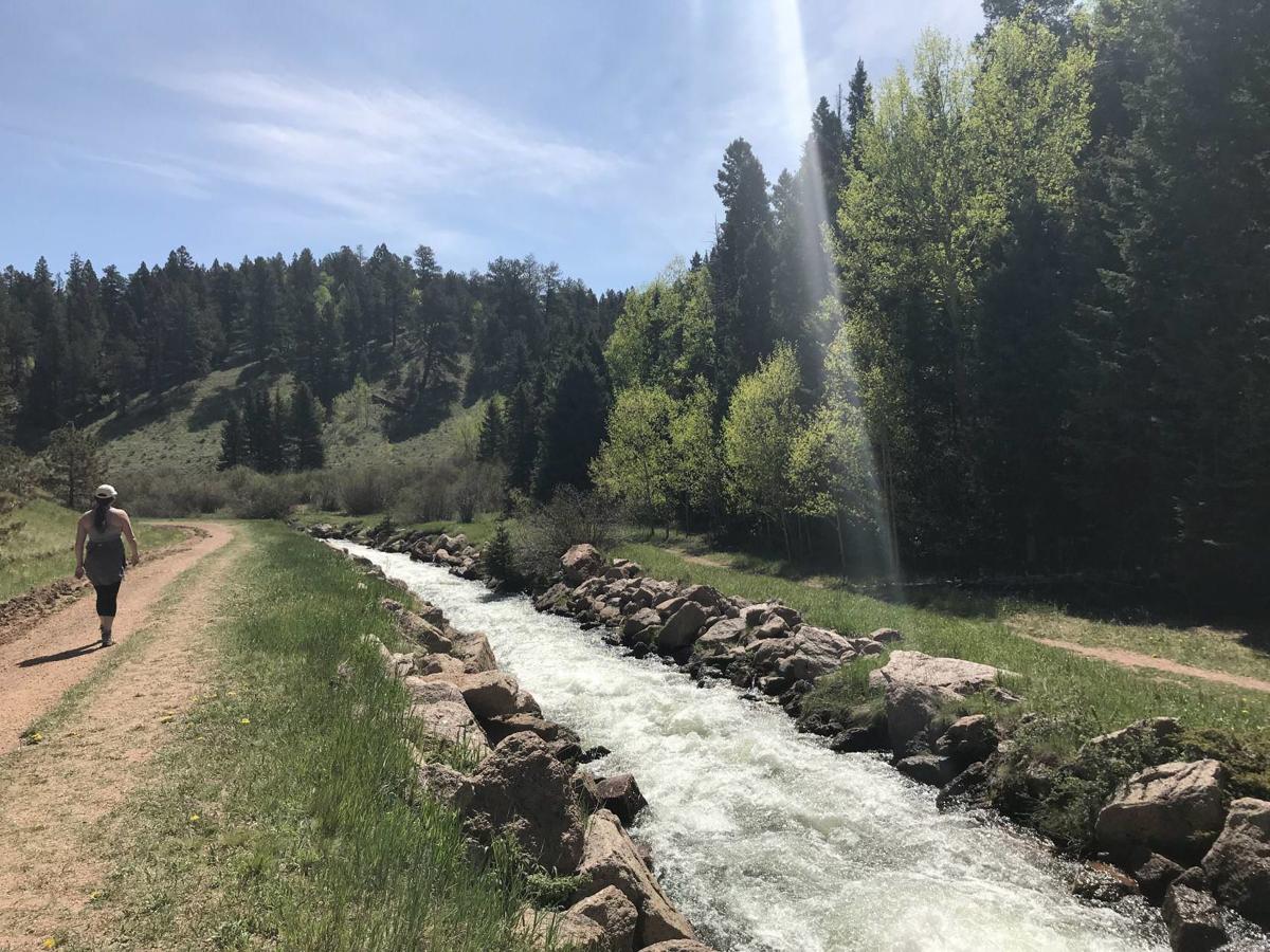 Awaken the senses along Rainbow Gulch near Woodland Park