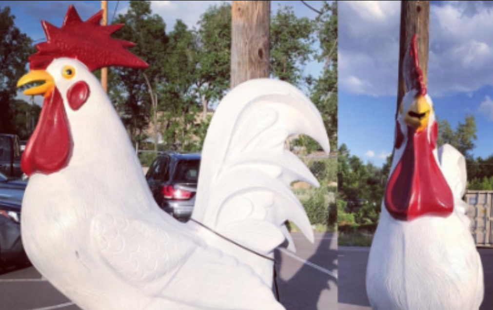Stolen 500 lb. chicken returned to its Colorado home