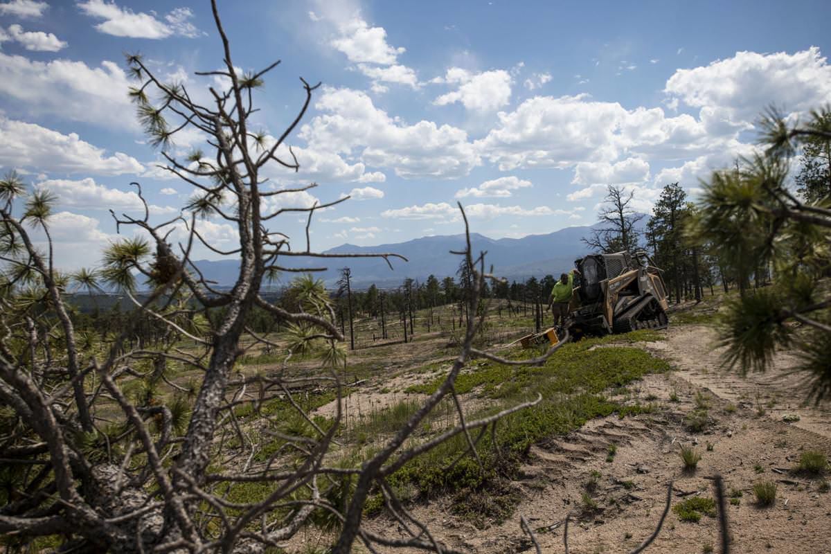 Six years after fire, Black Forest Regional Park gets major upgrades