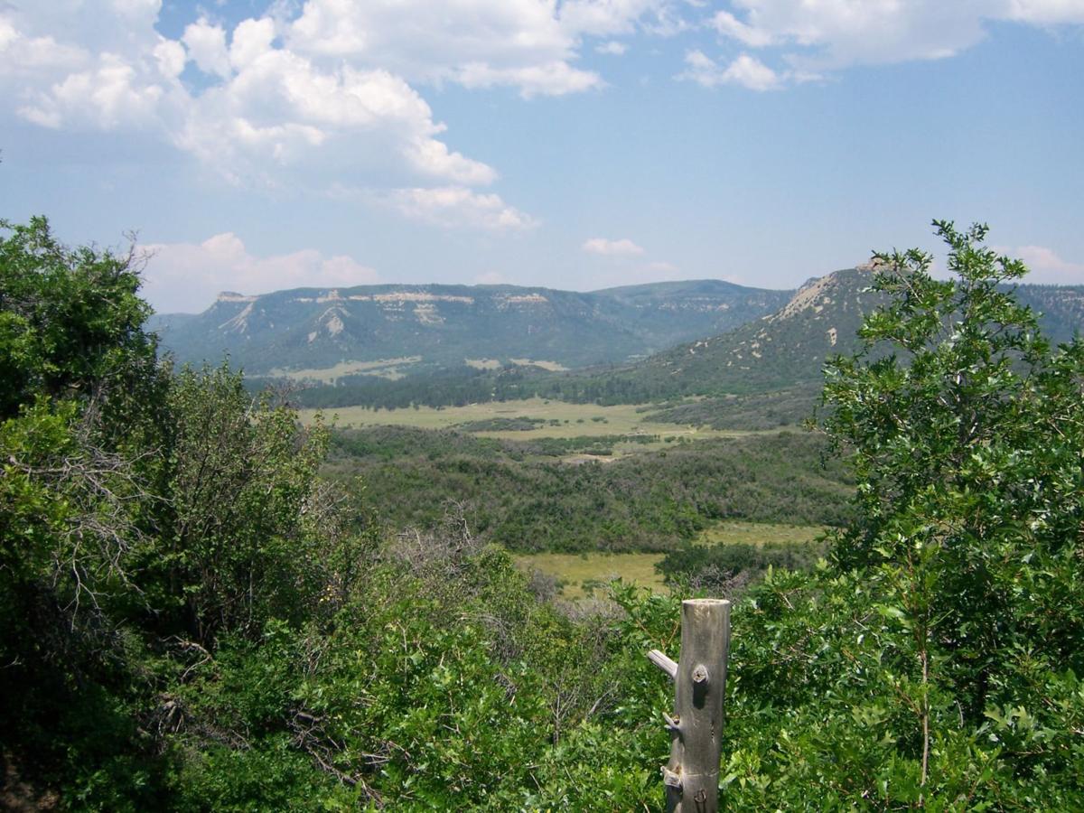 Archaeologists find Native American artifacts in state park