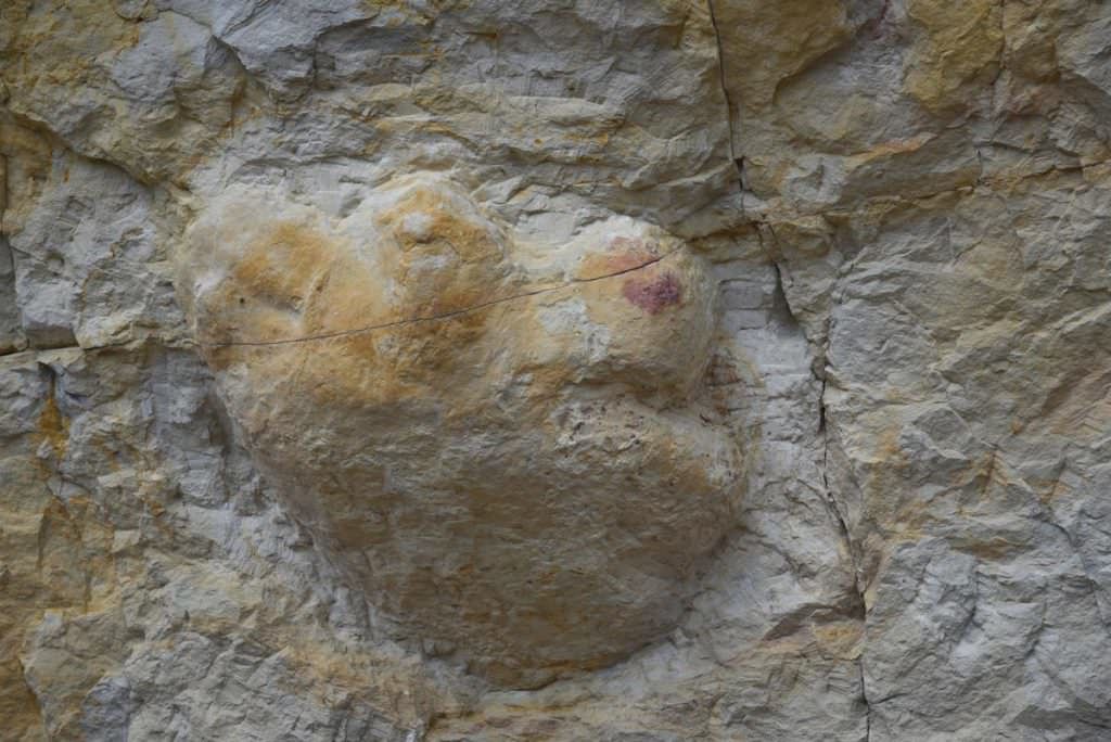 Dinosaur discovery on Skyline Drive in Cañon City excavated 20 years ago still popular