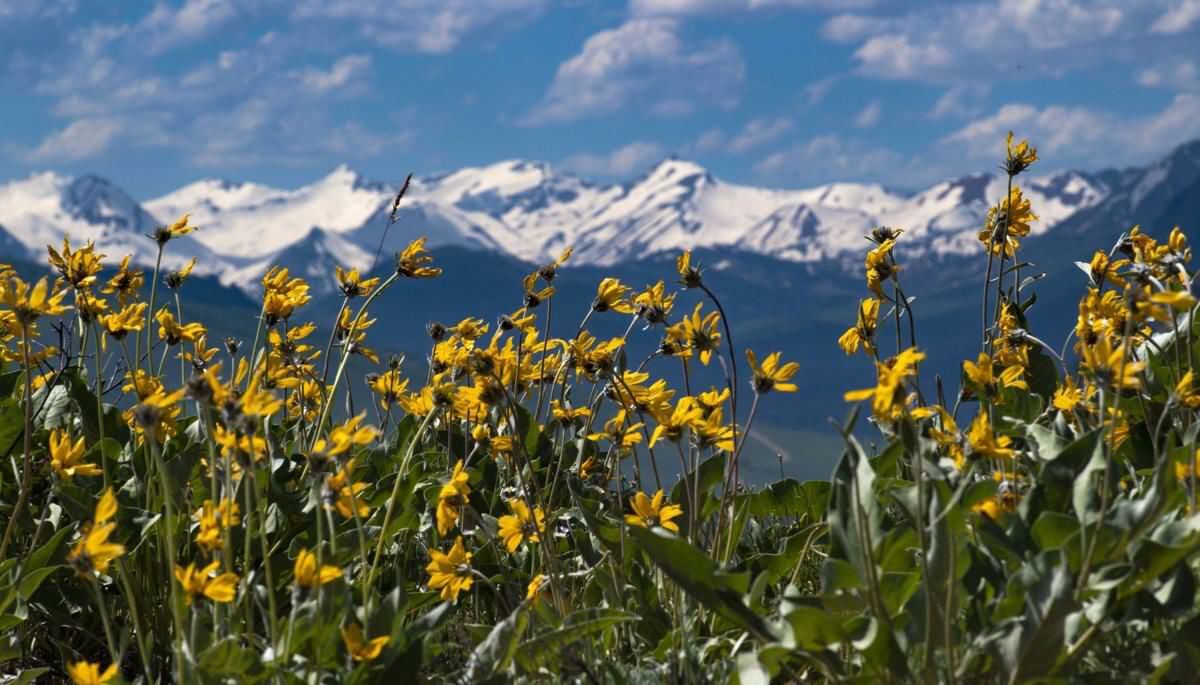 Colorado’s lingering snowpack making history