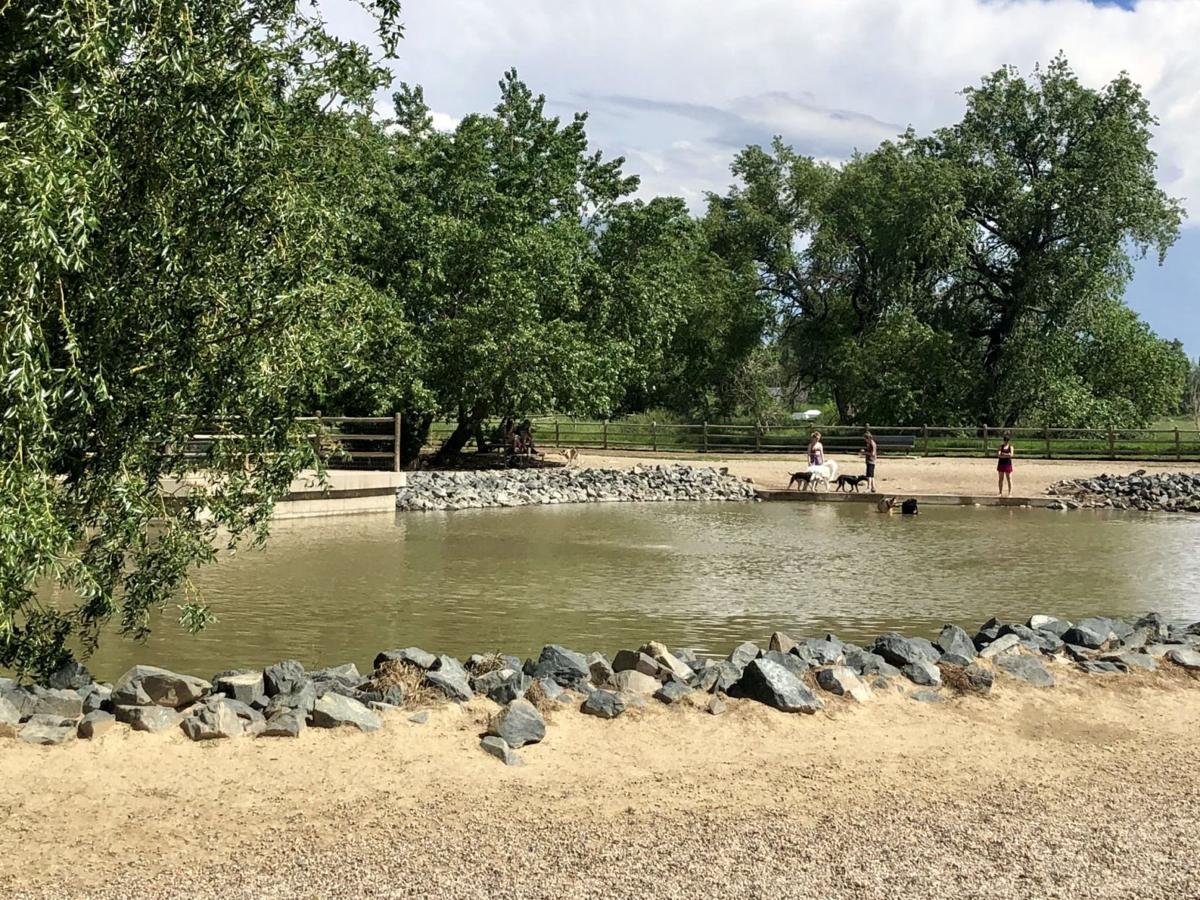 8 Awesome Dog-Friendly Options in Fort Collins