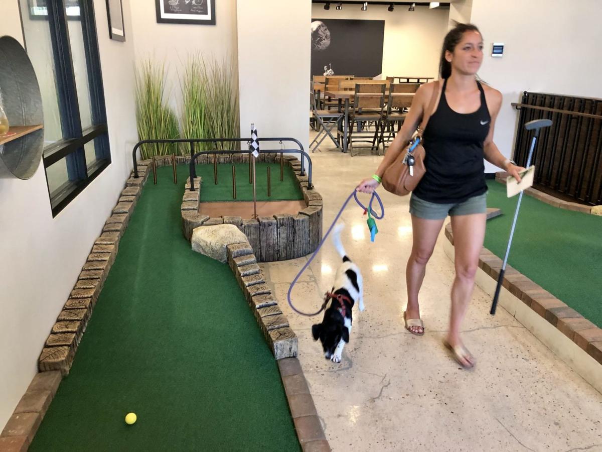 8 Awesome Dog-Friendly Options in Fort Collins