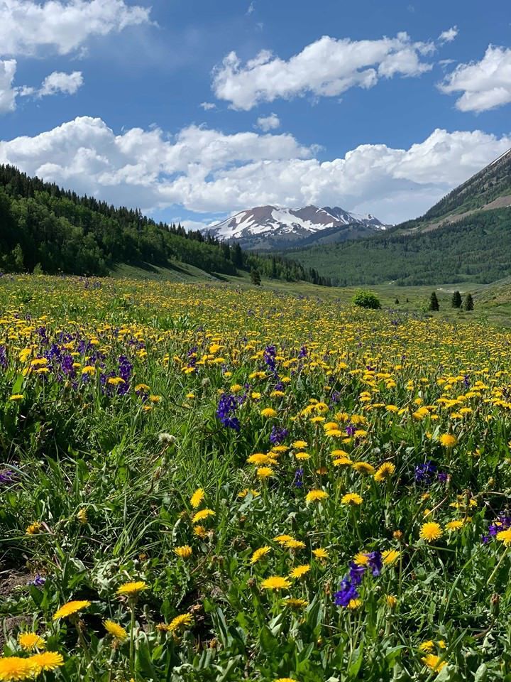 Add this beautiful hidden lake to your Colorado summer bucket list