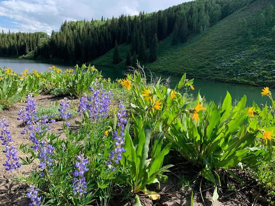 Add this beautiful hidden lake to your Colorado summer bucket list