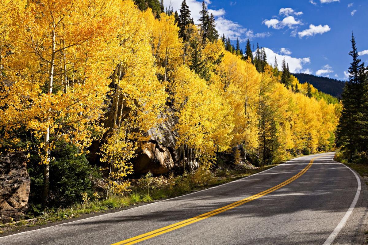 Park County’s Fall Foliage: Directions and Diversions
