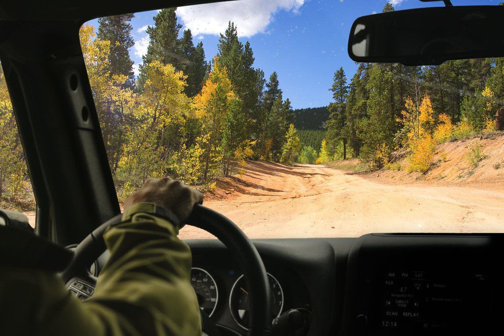 Park County’s Fall Foliage: Directions and Diversions