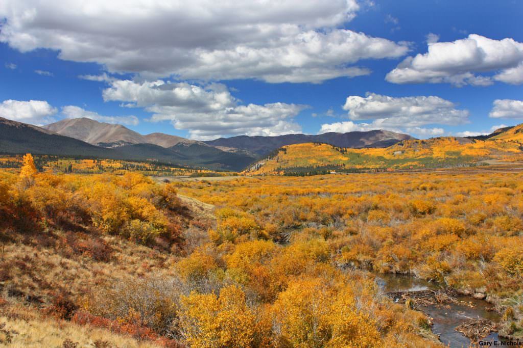 Park County’s Fall Foliage: Directions and Diversions