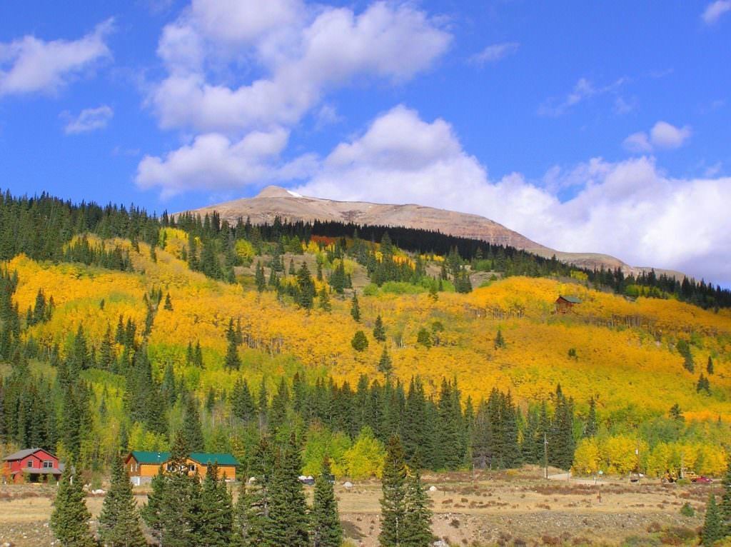 Park County’s Fall Foliage: Directions and Diversions