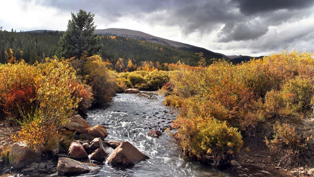 Park County’s Fall Foliage: Directions and Diversions