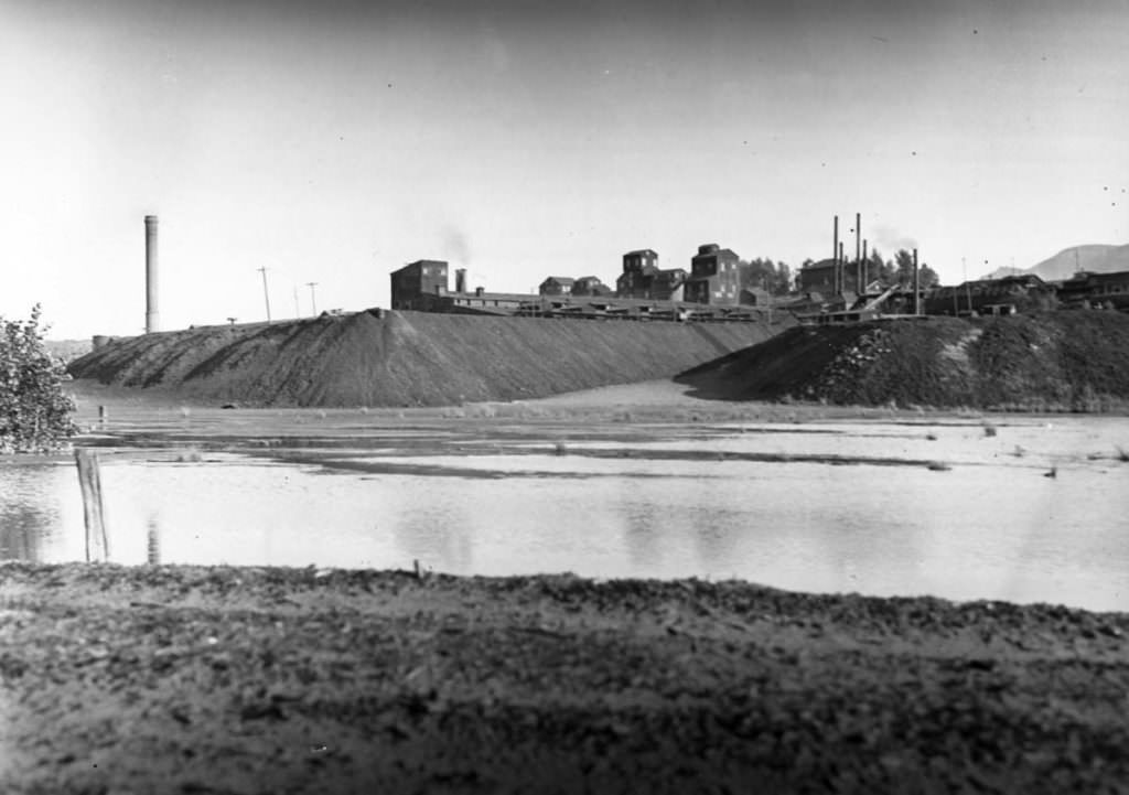 Rich history of gold mining left problems within its wake