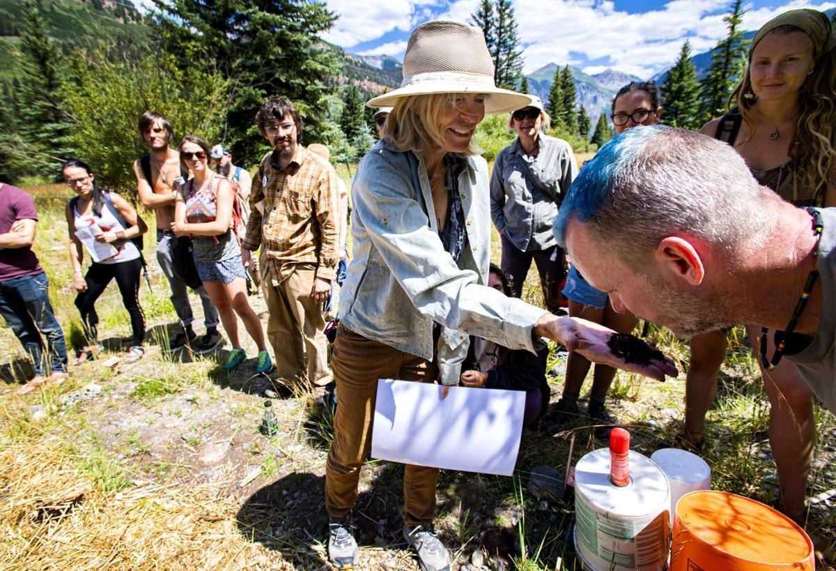Colorado mushroom festival seeks ‘funga-friendly world’