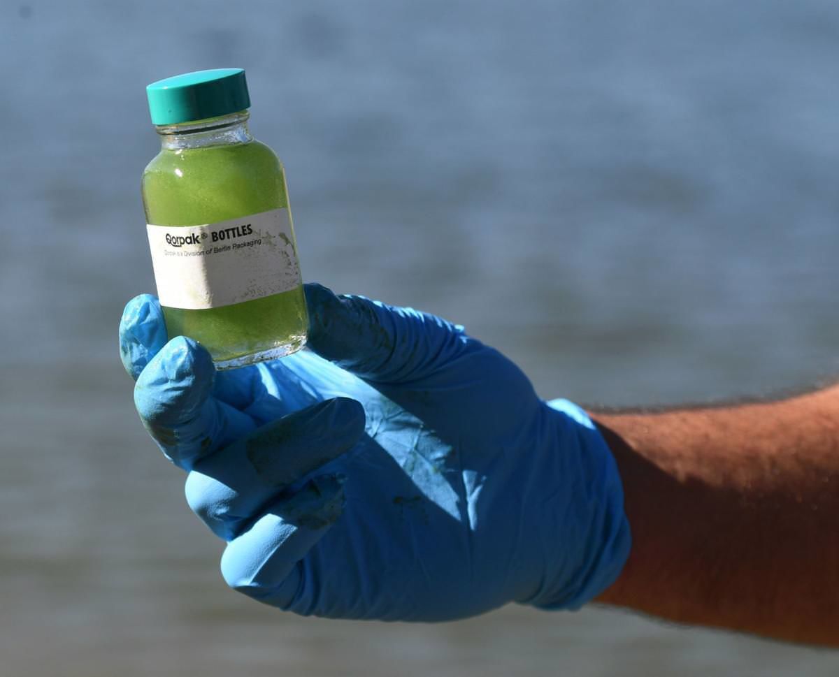 Colorado battles dog-killing algae in waters around state