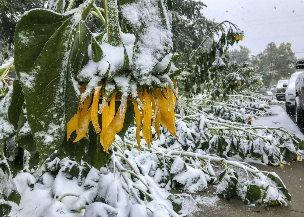 Snowstorm drops up to 4-feet of snow in Rocky Mountains