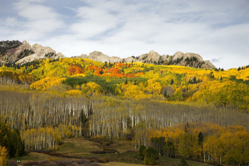5 fall color drives through massive aspen groves in Colorado