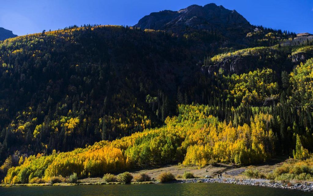 5 fall color drives through massive aspen groves in Colorado