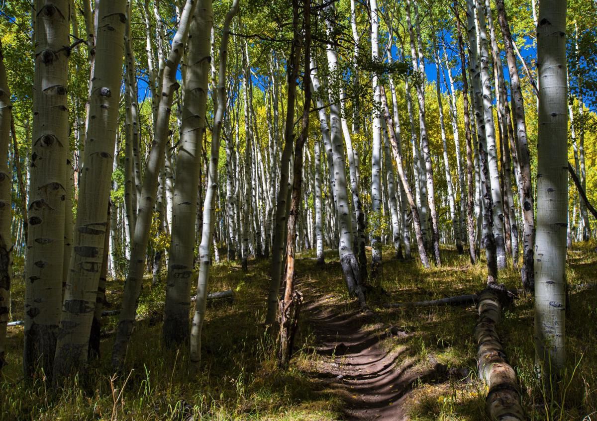 This Colorado mountain trail offers stunning fall colors, majestic views