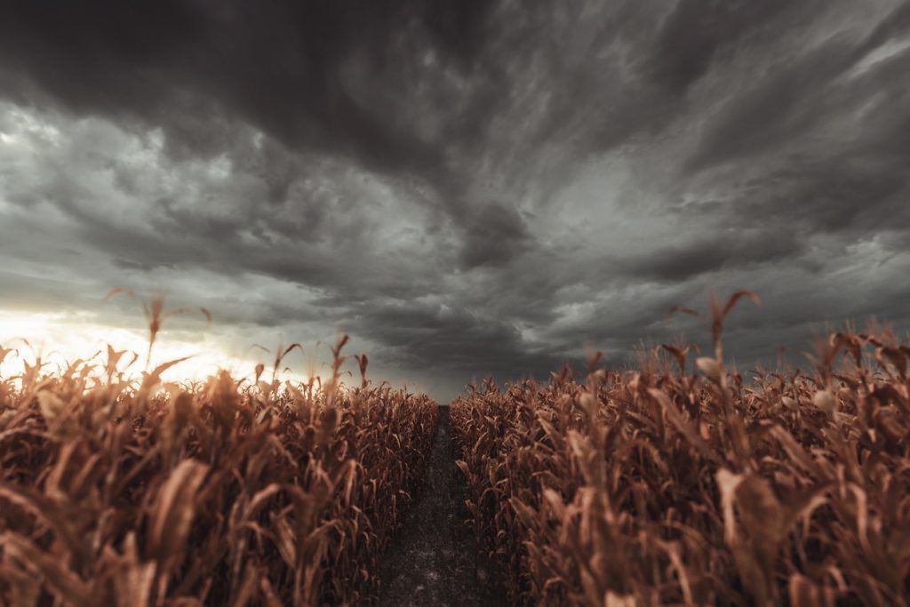 12 Haunted Attractions to Visit in Colorado for 2019
