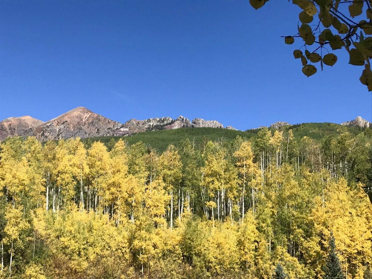 Gold rush of fall colors underway as Colorado aspens take center stage