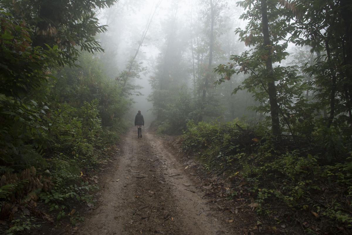Here’s why you feel “watched” in the woods