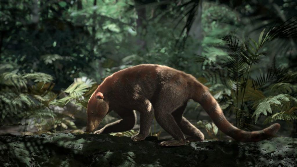 Major fossil discovery unearthed in Colorado