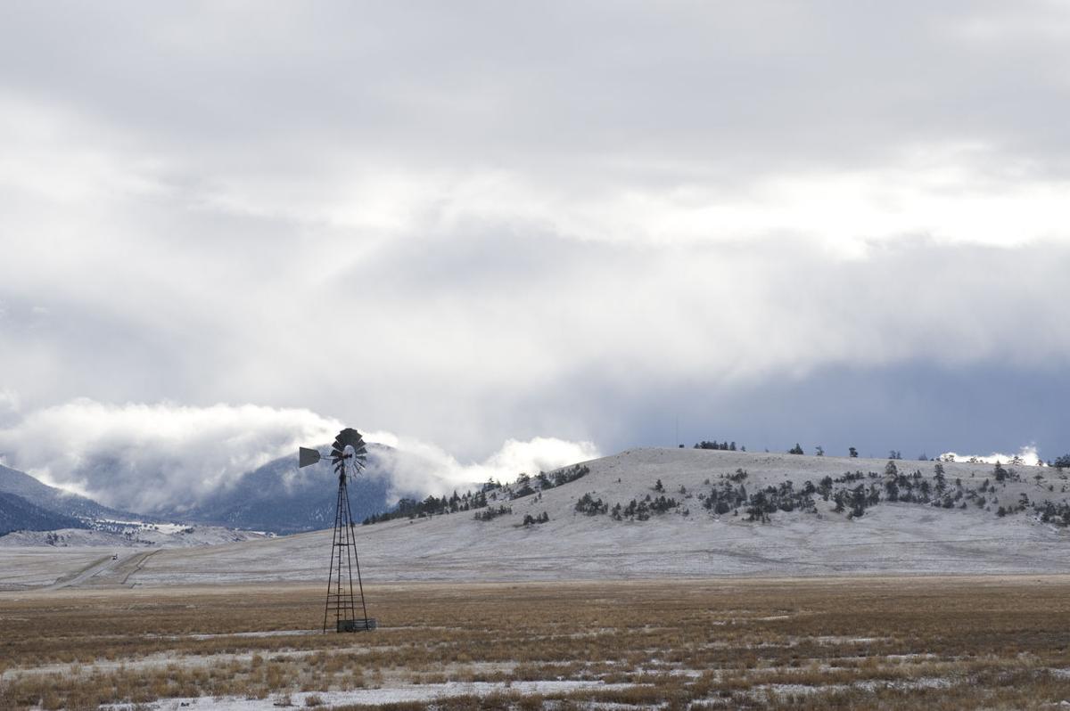 Colorado pot grower loses 20,000 plants due to early snow