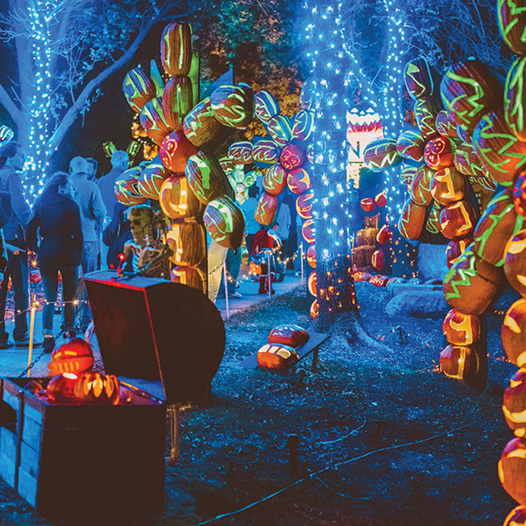 3,000 hand-carved pumpkins coming to Colorado for dazzling fall fest