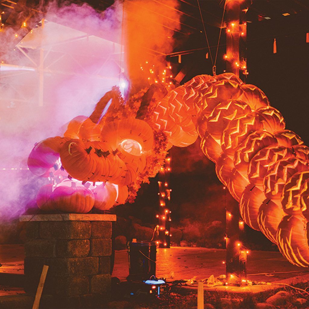 3,000 hand-carved pumpkins coming to Colorado for dazzling fall fest