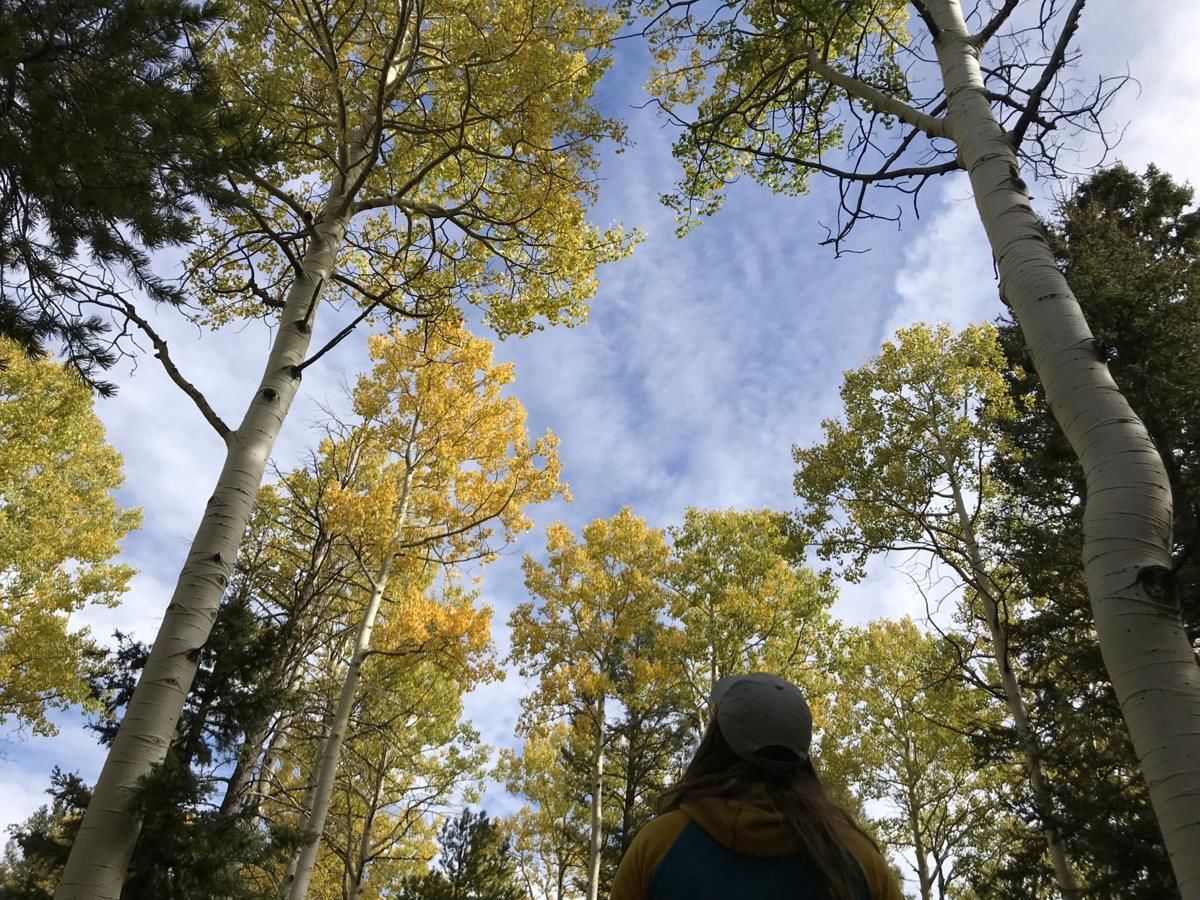 Fall colors and serenity on this loop at Mueller State Park