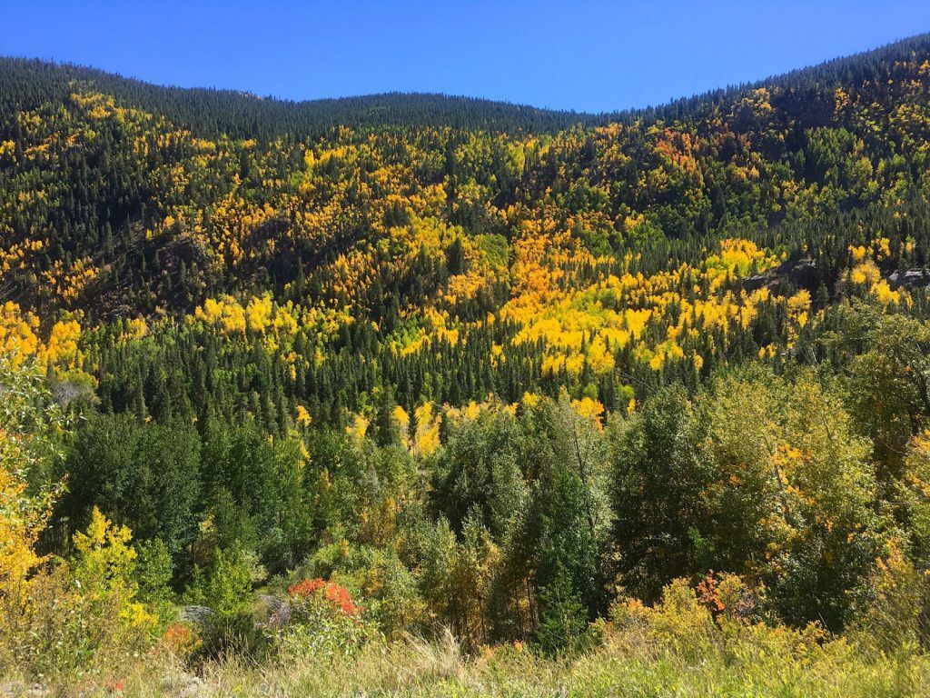 There’s still time to see fall leaves in Colorado and here’s where
