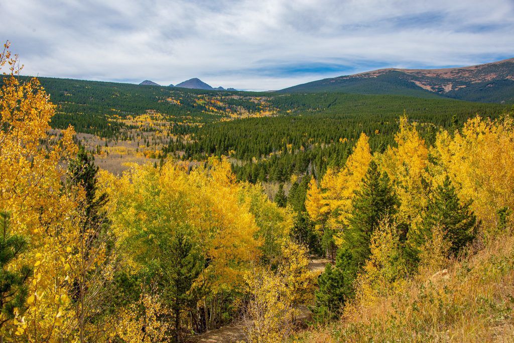 There’s still time to see fall leaves in Colorado and here’s where