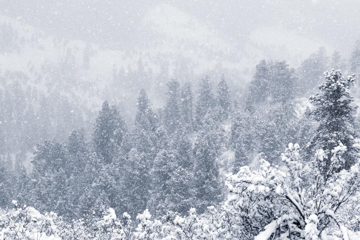 Wild weather: Here’s what to expect in Colorado over the next 24 hours