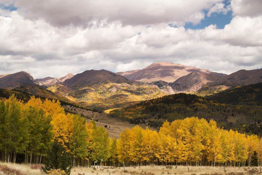5 Scenic Drives in the Pikes Peak Region