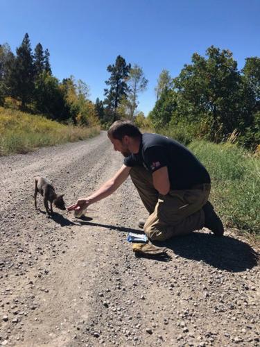 Firefighter saves puppy found abandoned on mountain road in Colorado