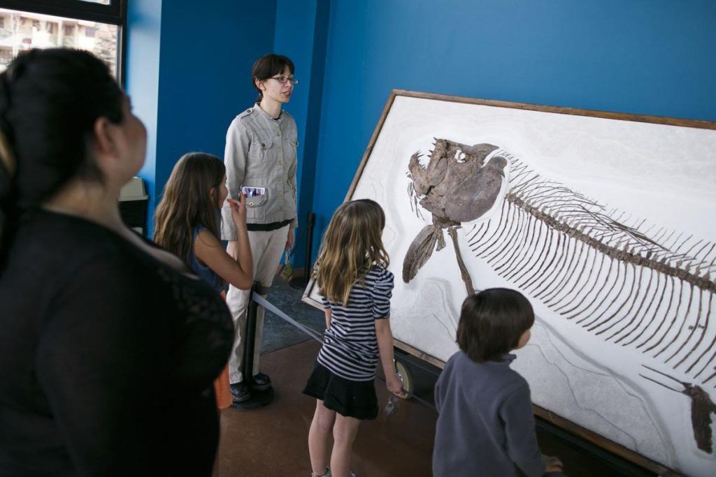 Dinosaur center in Woodland Park is much more than just a roadside attraction