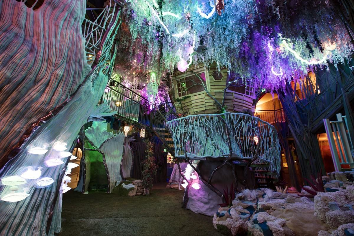 Meow Wolf hosts three-day music, art experience in Colorado