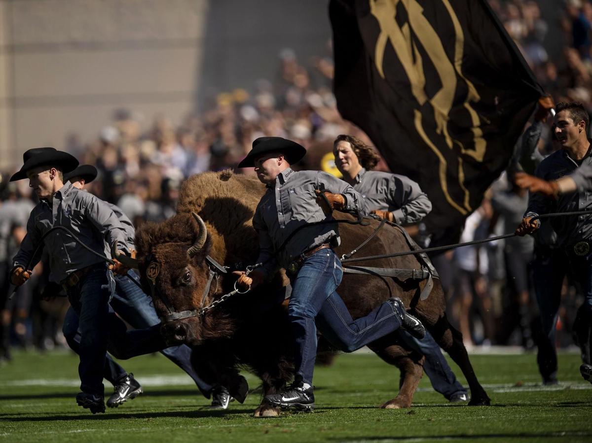 University of Colorado retires live buffalo mascot Ralphie V