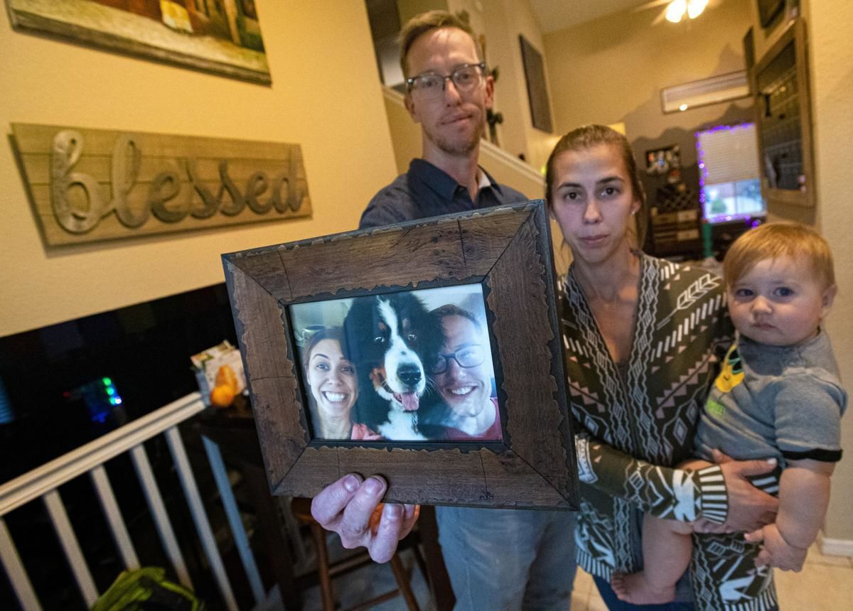 Dog missing on mountain pass possibly spotted with hitchhiker