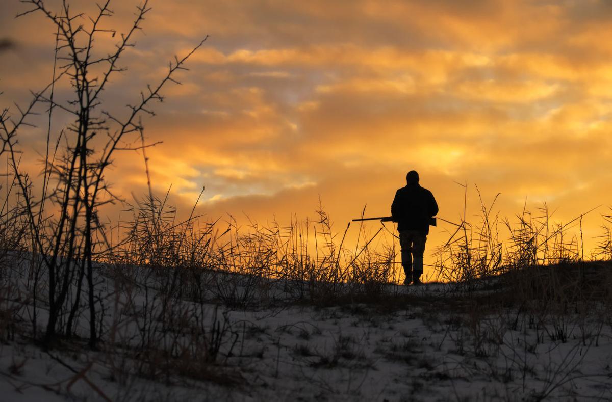 Deceased man found in remote national forest in Colorado