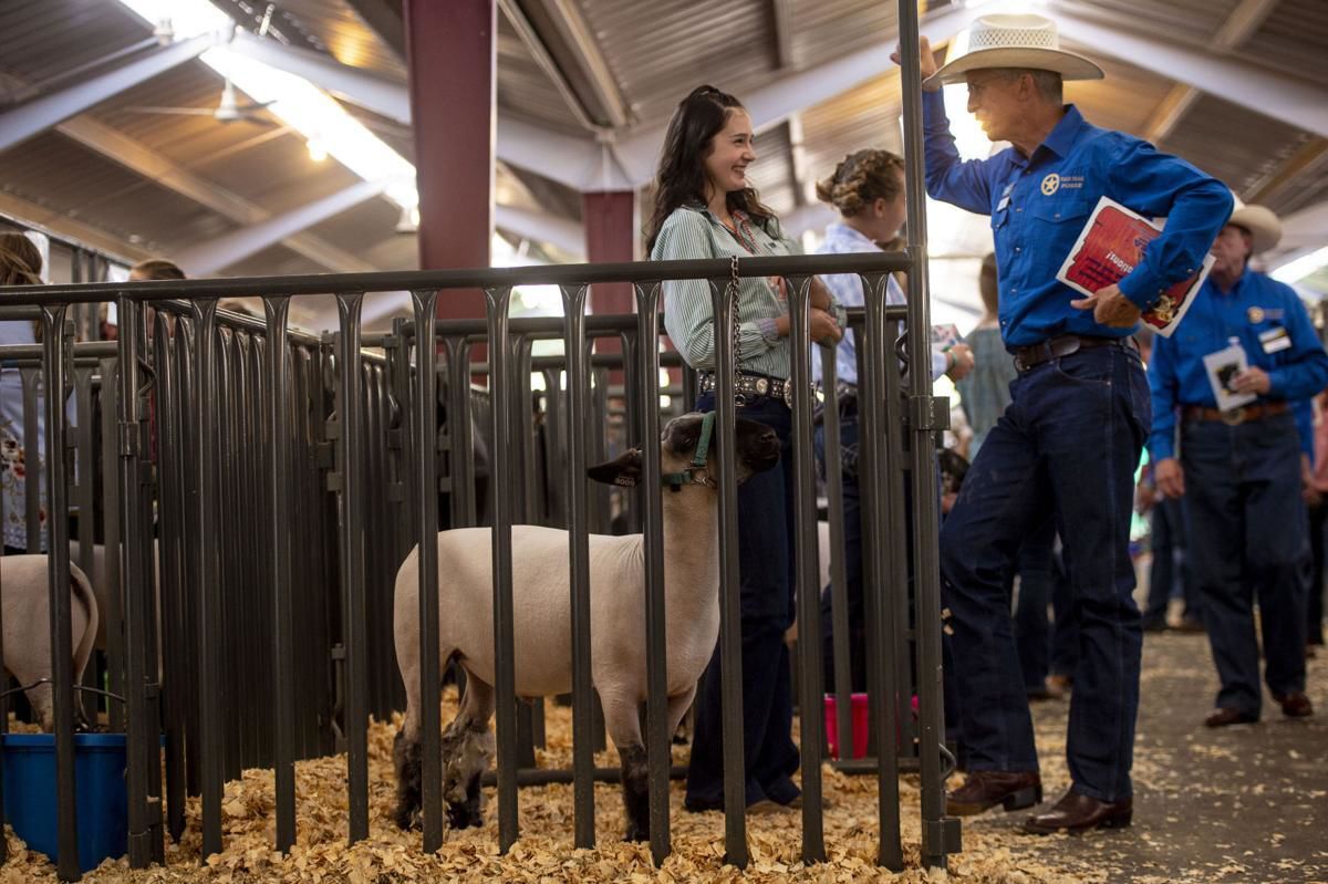 Audit reveals Colorado State Fair losing millions with poor management