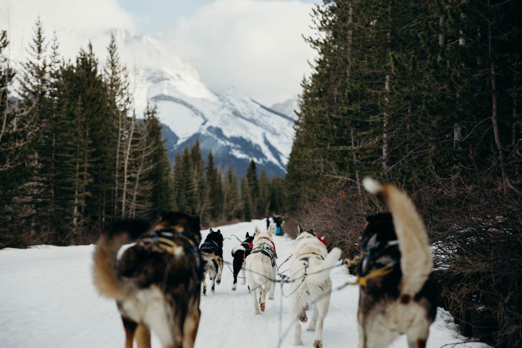 9 activities in Colorado that are fun for any fitness level