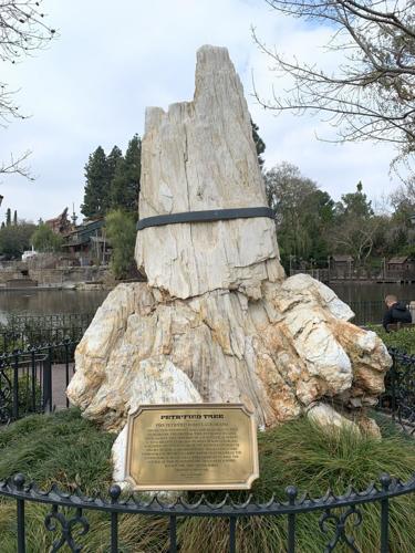 Walt Disney’s unusual Colorado connection