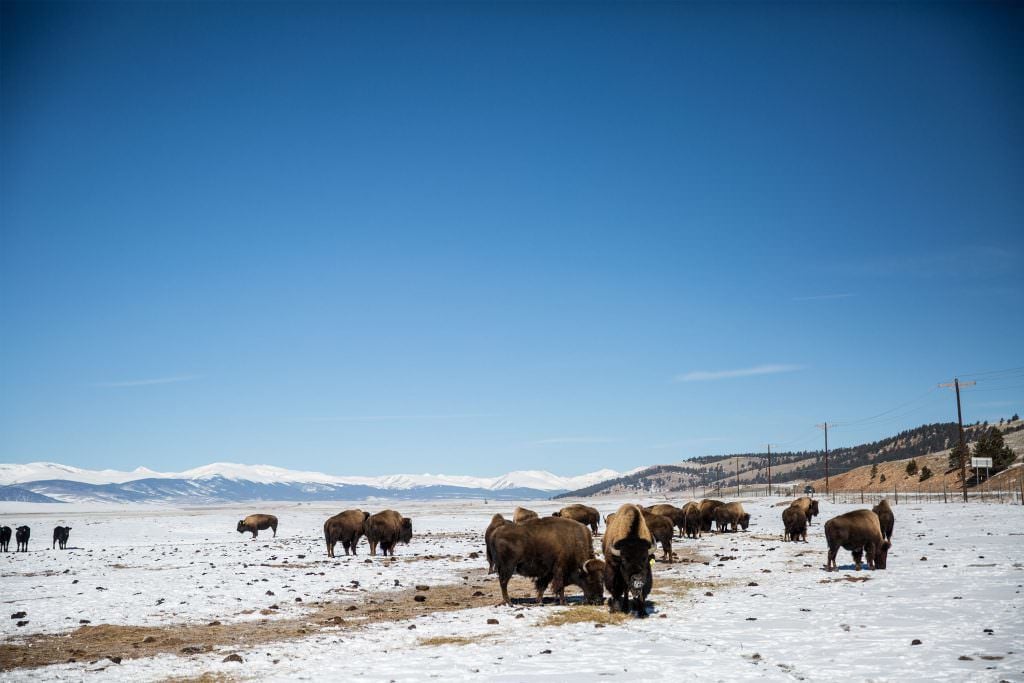 12 bizarre town names you’ll find in Colorado