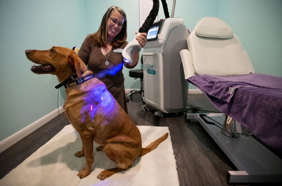Colorado center provides cryotherapy for pets