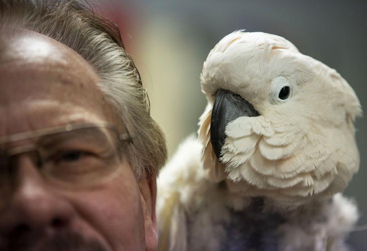 021620-life-darwin 03