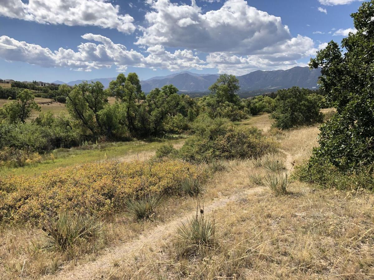 Protected mouse scraps recreational plan for north Colorado Springs open space