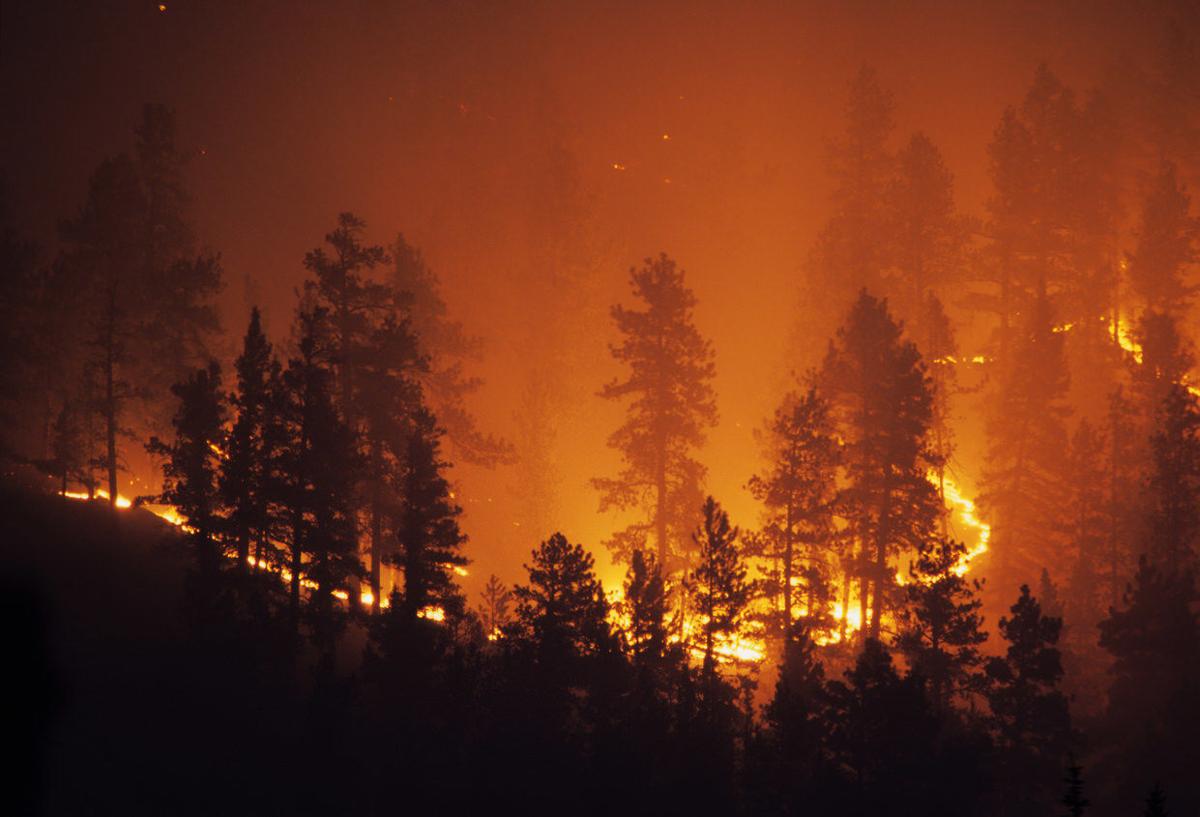 Work to reduce wildfire risks has economic benefits