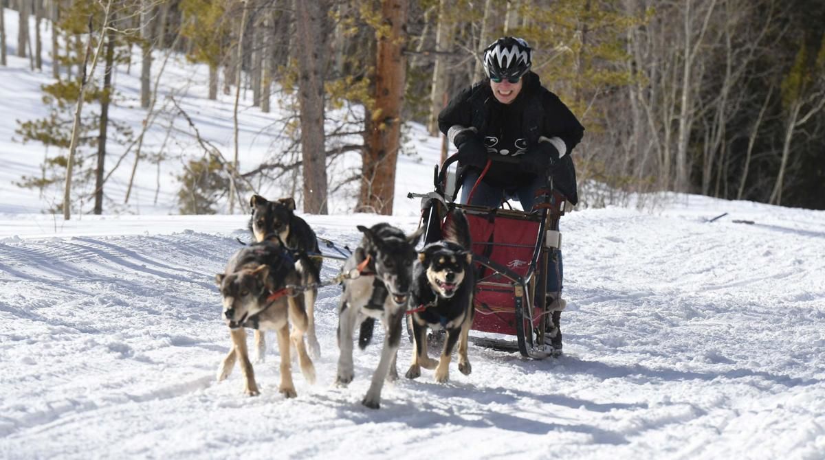 Born to run: ‘It’s in their DNA,’ veteran Colorado musher says of sled dogs